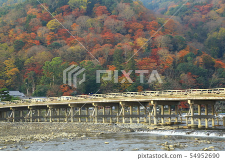 Arashiyama秋葉在京都 54952690