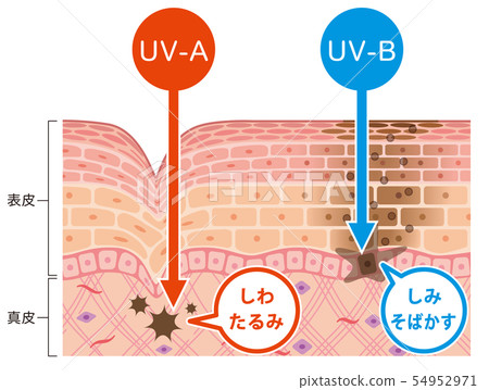 Skin figure UV damage 54952971