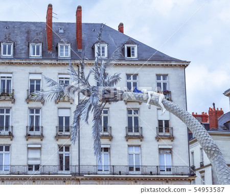 Facade and roof of buildings in Nantes, France Facade and roof of buildings in Nantes, France 54953587
