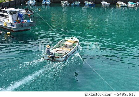 Kochi Pref。 54953615