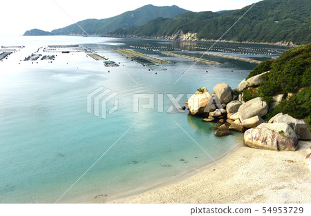 Kochi Pref。 54953729