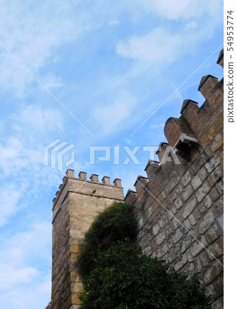 西班牙塞維利亞阿爾卡薩 西班牙塞維利亞阿爾卡薩 54953774