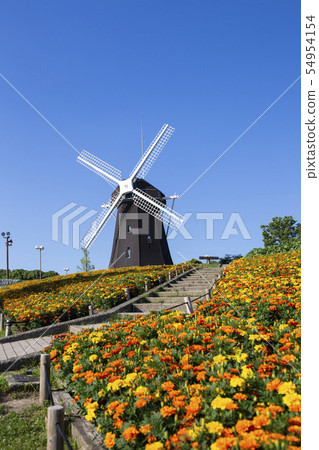 Windmill hill of Tsurumi green space park 54954154