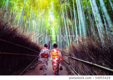 Traveler in Bamboo Forest Grove, Kyoto, Japan Traveler in Bamboo Forest Grove, Kyoto, Japan 54955429