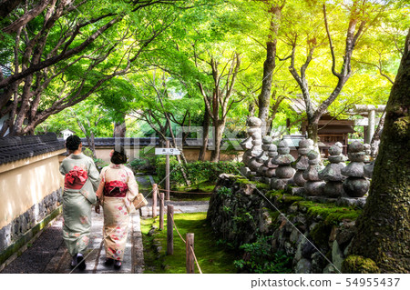 Traveler in Japanese Garden, Kyoto, Japan Traveler in Japanese Garden, Kyoto, Japan 54955437
