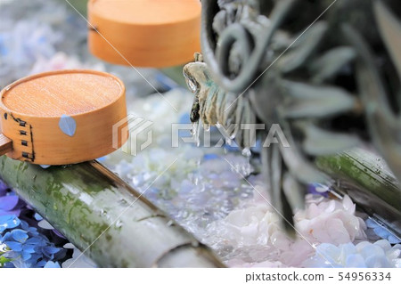 Kyoto Yasudaji 54956334