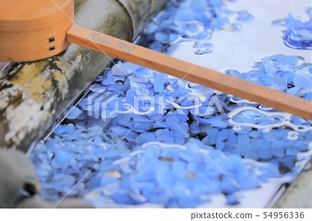 Kyoto Yasudaji 54956336