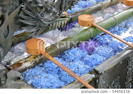 Kyoto Yasudaji 54956338