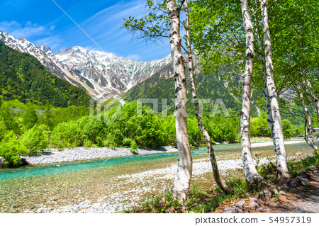 <<長野縣>新鮮的綠色Kamikochi,Takezawa和Shirakaba <<長野縣>新鮮的綠色Kamikochi,Takezawa和Shirakaba 54957319
