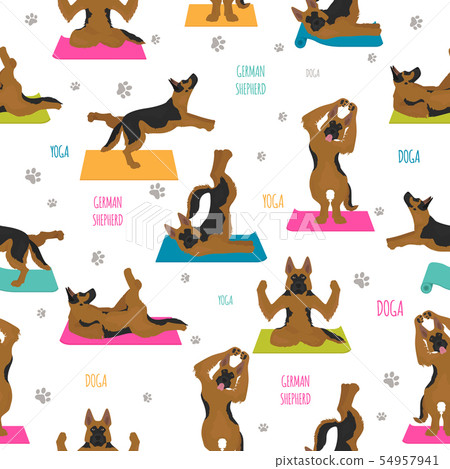 Yoga dogs poses and exercises. German shepherd Yoga dogs poses and exercises. German shepherd 54957941