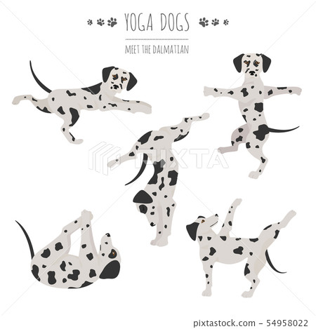 Yoga dogs poses and exercises. Dalmatian clipart Yoga dogs poses and exercises. Dalmatian clipart 54958022