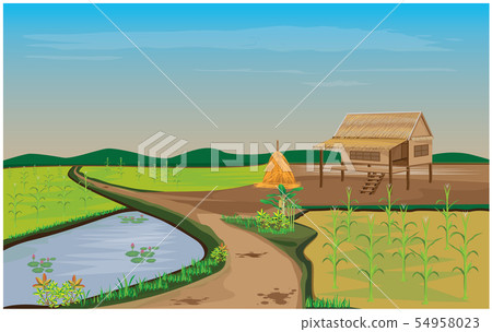 corn plant at countryside vector design corn plant at countryside vector design 54958023