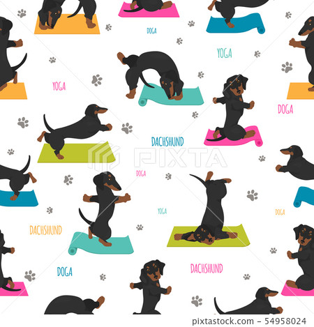 Yoga dogs poses and exercises. Dachshund seamless 54958024