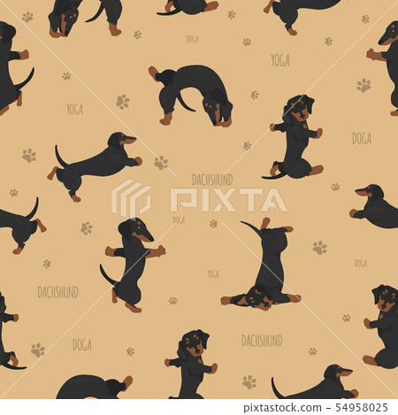 Yoga dogs poses and exercises. Dachshund seamless Yoga dogs poses and exercises. Dachshund seamless 54958025