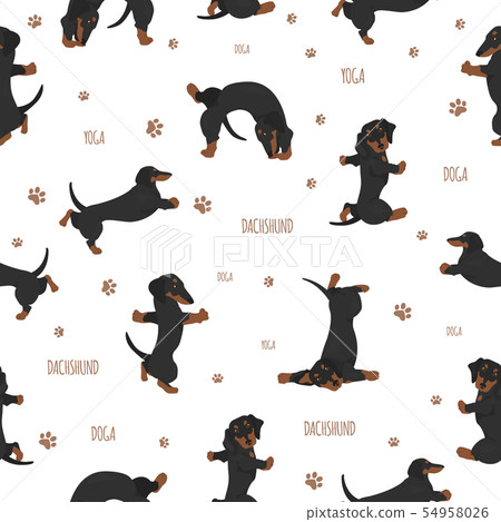 Yoga dogs poses and exercises. Dachshund seamless Yoga dogs poses and exercises. Dachshund seamless 54958026