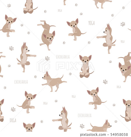 Yoga dogs poses and exercises. Chihuahua seamless 54958038
