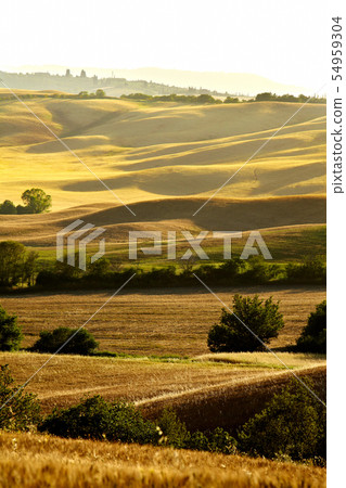 Scenic view of typical Tuscany landscape, Italy 54959304