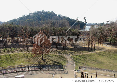 三金寺古廟三廟 54959629