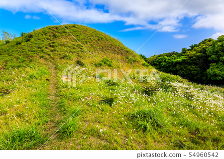 Shuroku Ancient Tomb [Sanuki City, Nagasaki Prefecture] 54960542