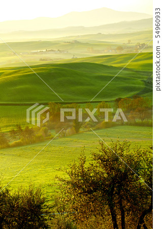 Countryside , Tuscany, Italy 54960933