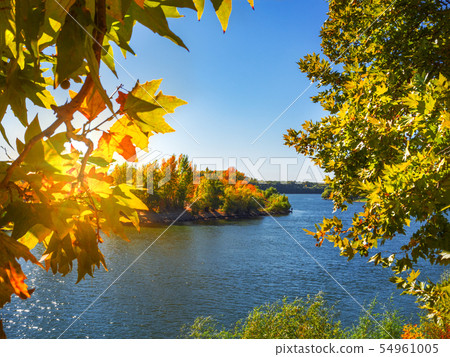 autumn landscape with sun, yellow leaves and river 54961005