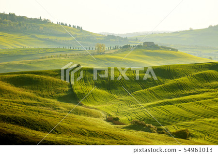 morning on countryside in Tuscany 54961013