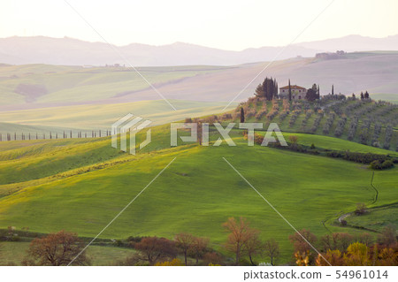 morning on countryside in Tuscany 54961014