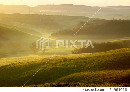 morning on countryside in Tuscany morning on countryside in Tuscany 54961018