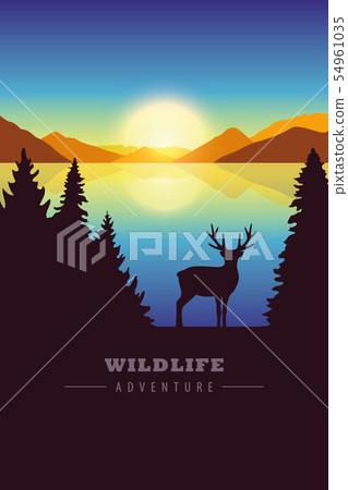 wildlife adventure elk in the wilderness by the lake at sunset 54961035