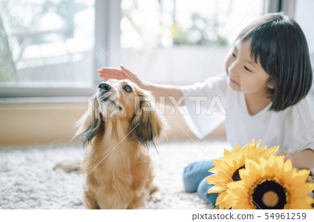 Life with a dog Girl 54961259