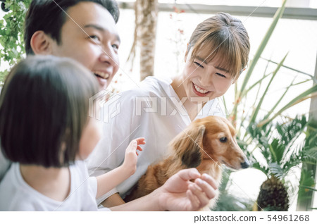 生活與狗家庭 54961268