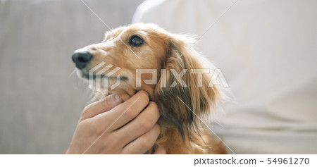 Life with a dog Woman Life with a dog Woman 54961270