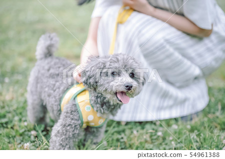 生活與狗女人 54961388