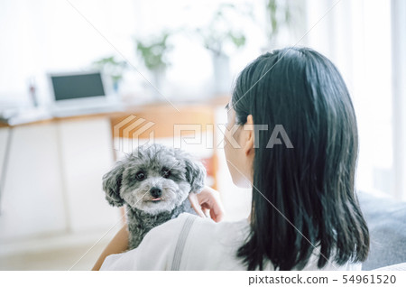 Life with a dog Woman Life with a dog Woman 54961520
