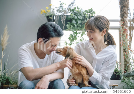 Living with a dog Couple Couple 54961600
