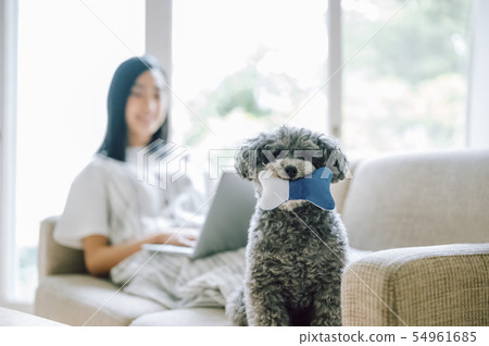 Life with a dog Woman business 54961685