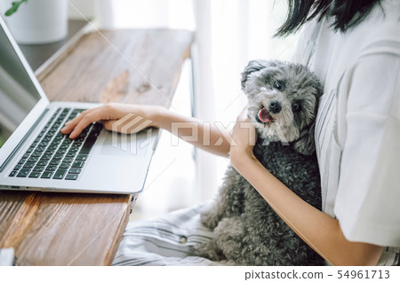 生活與狗女人生意 生活與狗女人生意 54961713