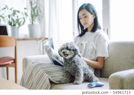 Life with a dog Woman Life with a dog Woman 54961715