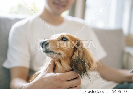 生活與狗男人 生活與狗男人 54961724