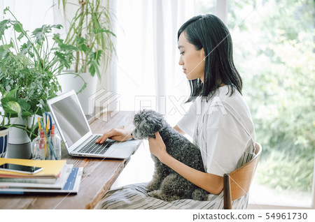 Life with a dog Woman business 54961730