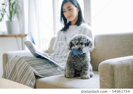 生活與狗女人 生活與狗女人 54961734