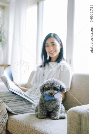 生活與狗女人 54961735