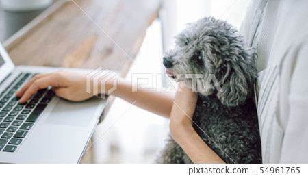 Life with a dog Woman business Life with a dog Woman business 54961765