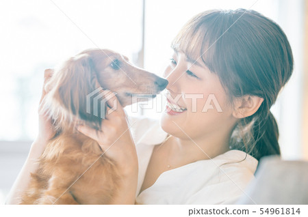 Life with a dog Woman Life with a dog Woman 54961814