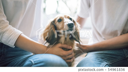 Living with a dog Couple Couple 54961836