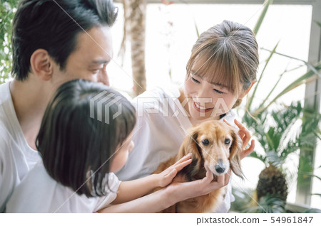 生活與狗家庭 54961847