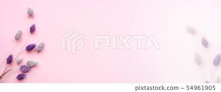 Dried flowers of gently purple color. 54961905