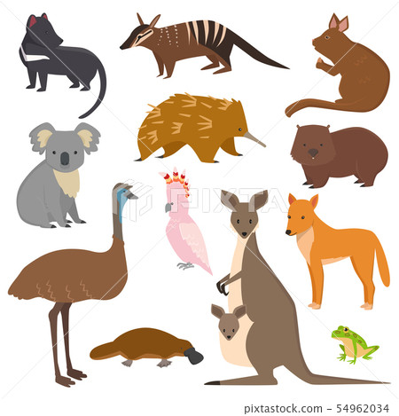 Australian wild animals cartoon collection australia popular animals like platypus, koala, kangaroo Australian wild animals cartoon collection australia popular animals like platypus, koala, kangaroo 54962034