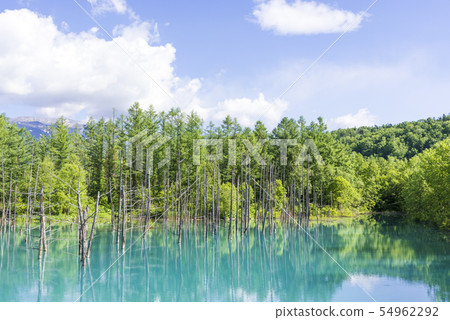 北海道的藍色池塘 54962292
