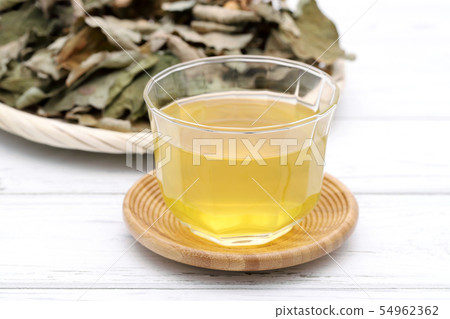 Dokudami茶 54962362